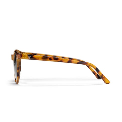 CHPO Cote De Basques X in Leopard