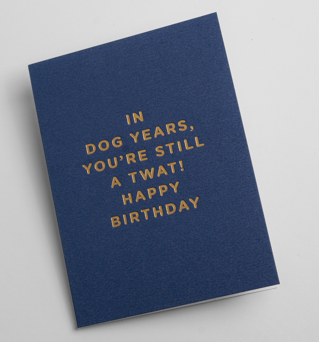 In Dog Years, You're Still A Twat Mini Card