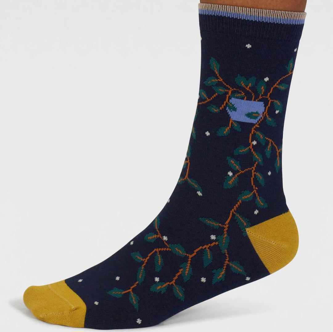 Thought Dracaena House Plant Bamboo Socks Set