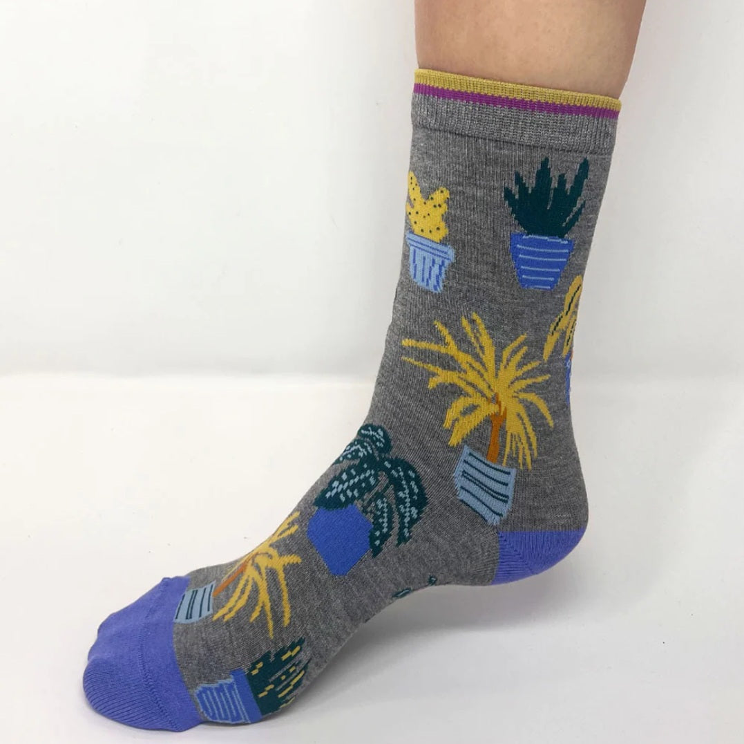 Thought Dracaena House Plant Bamboo Socks Set