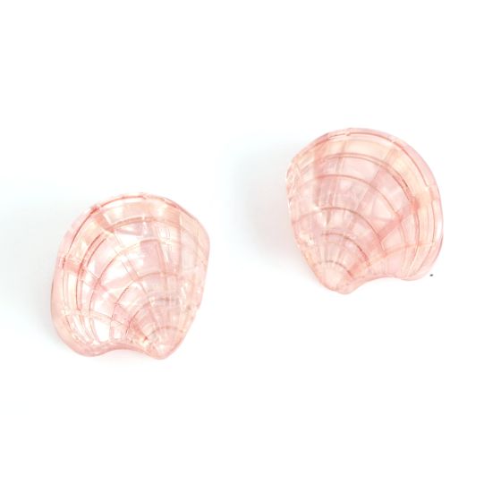 Mini Coquina Clam Claw Clips