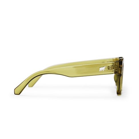 CHPO Max Olive Sunglasses