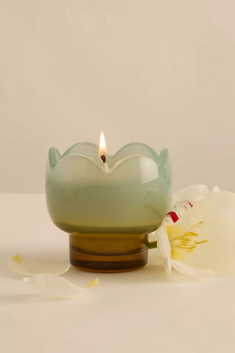 Paddywax Wisteria & Willow Tulip Candle
