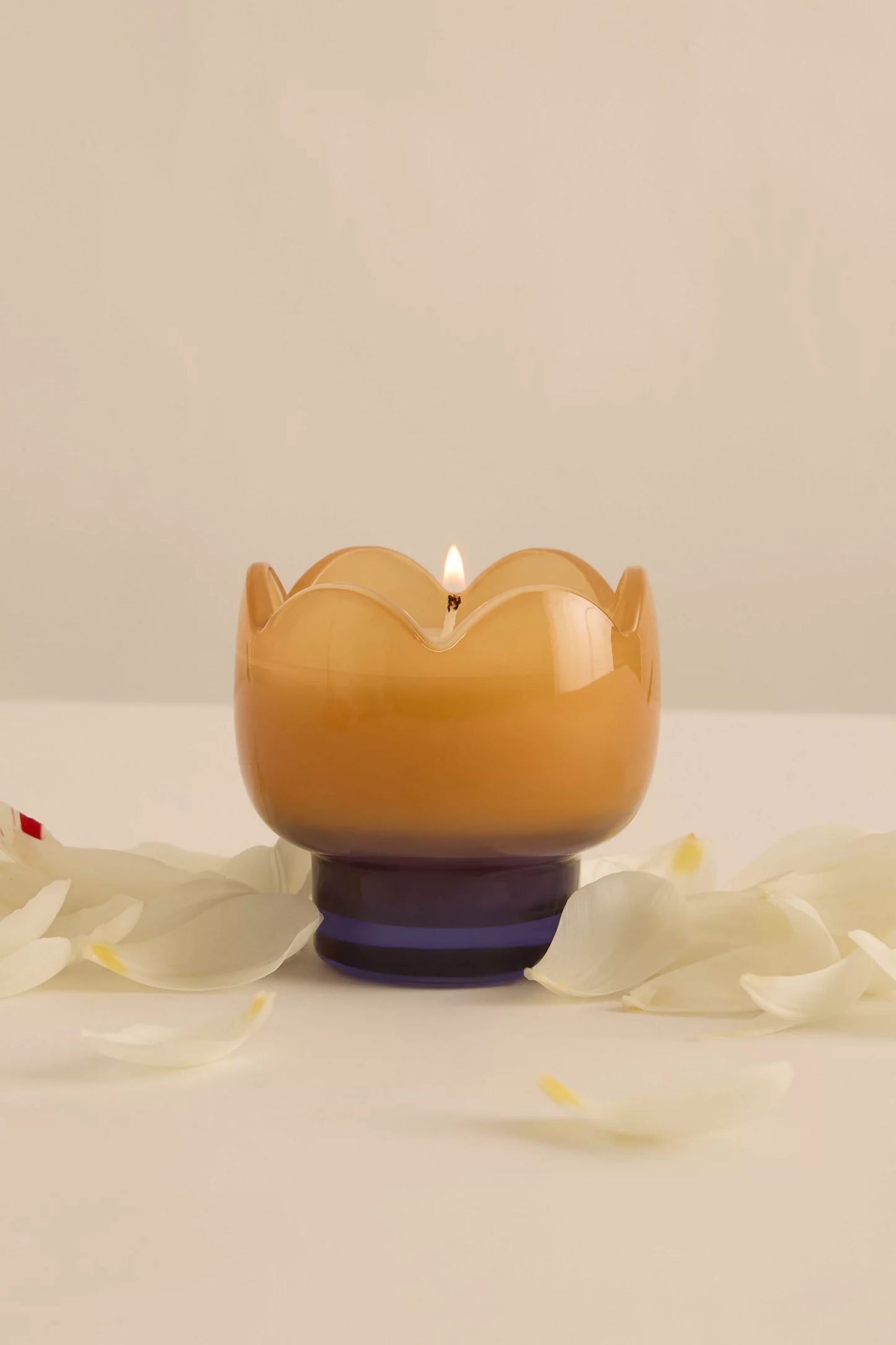 Paddywax Garden & Grove Tulip Candle