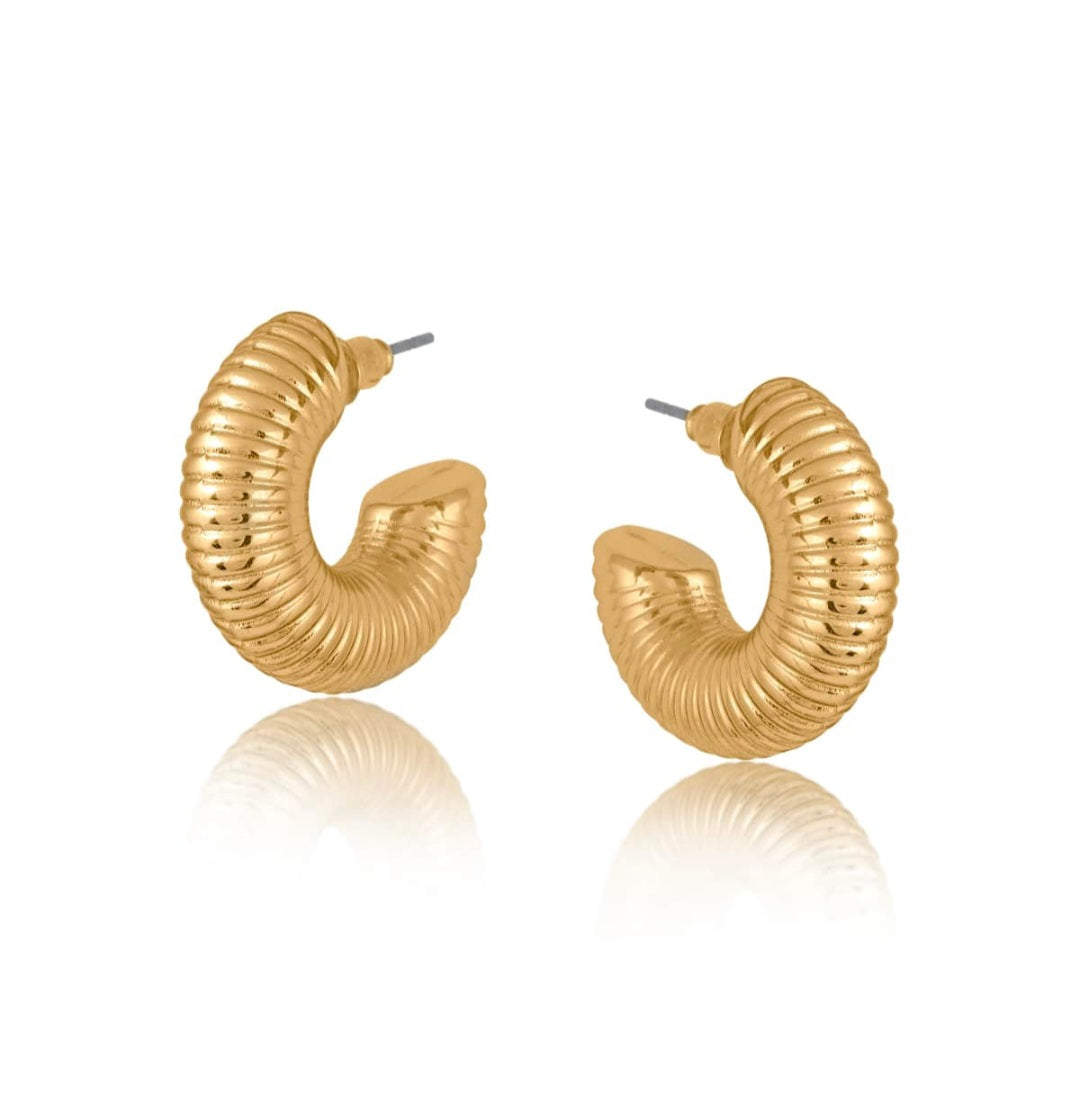 Atlanta Spring Texture Hoop Earrings