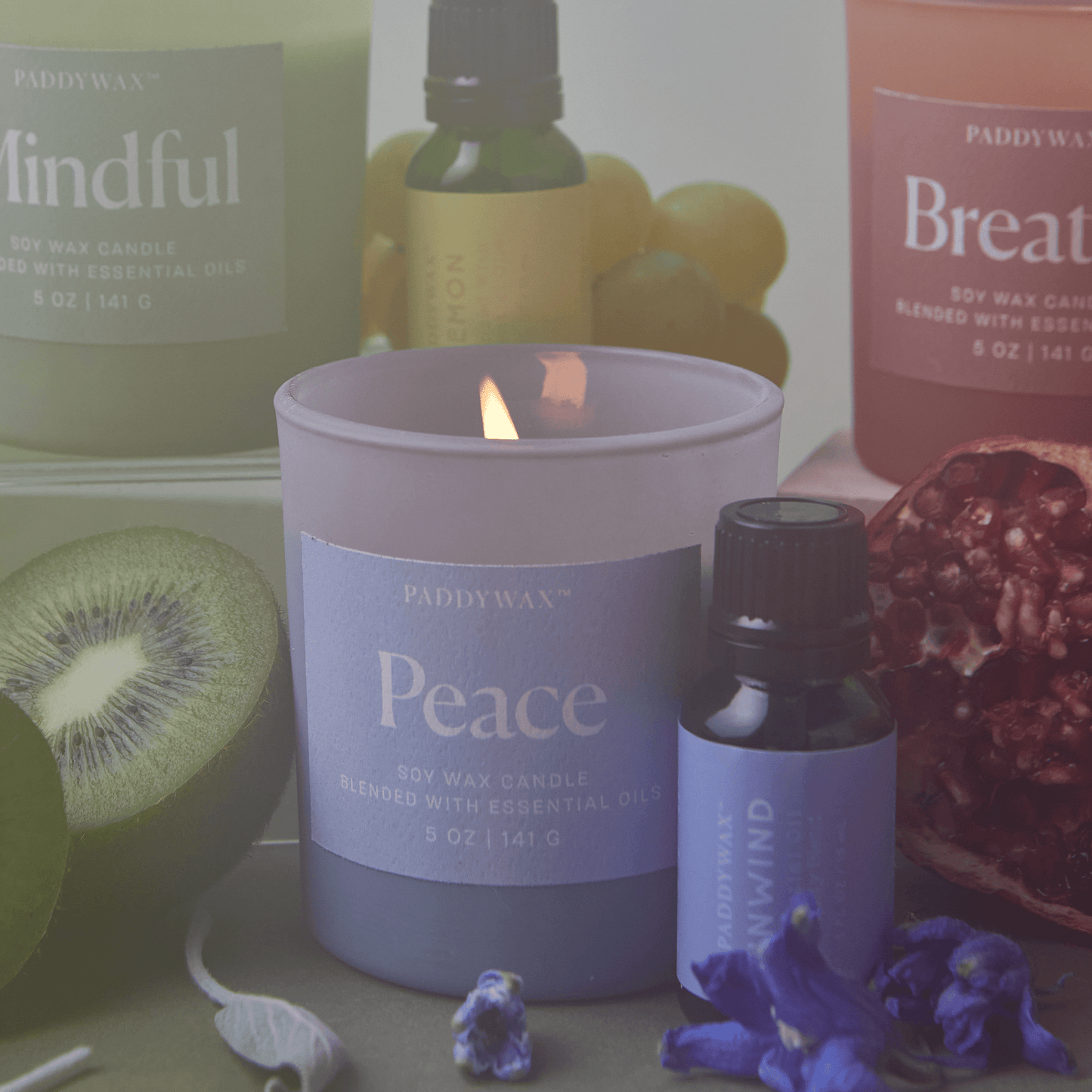 Paddywax Wellness Soy Candle - Peace