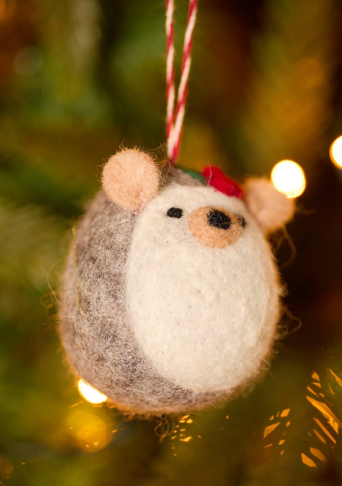 Hollie the Hedgehog Hanging Decoration