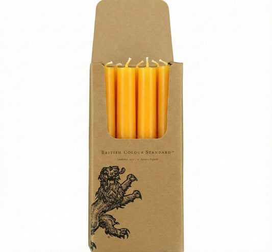 British Colour Standard Eco Dinner Candle Bright Orange
