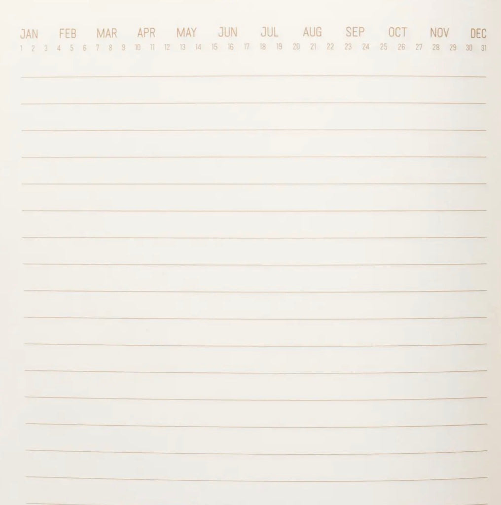 Suedette Hard Cover Radiant Journal - Emerald