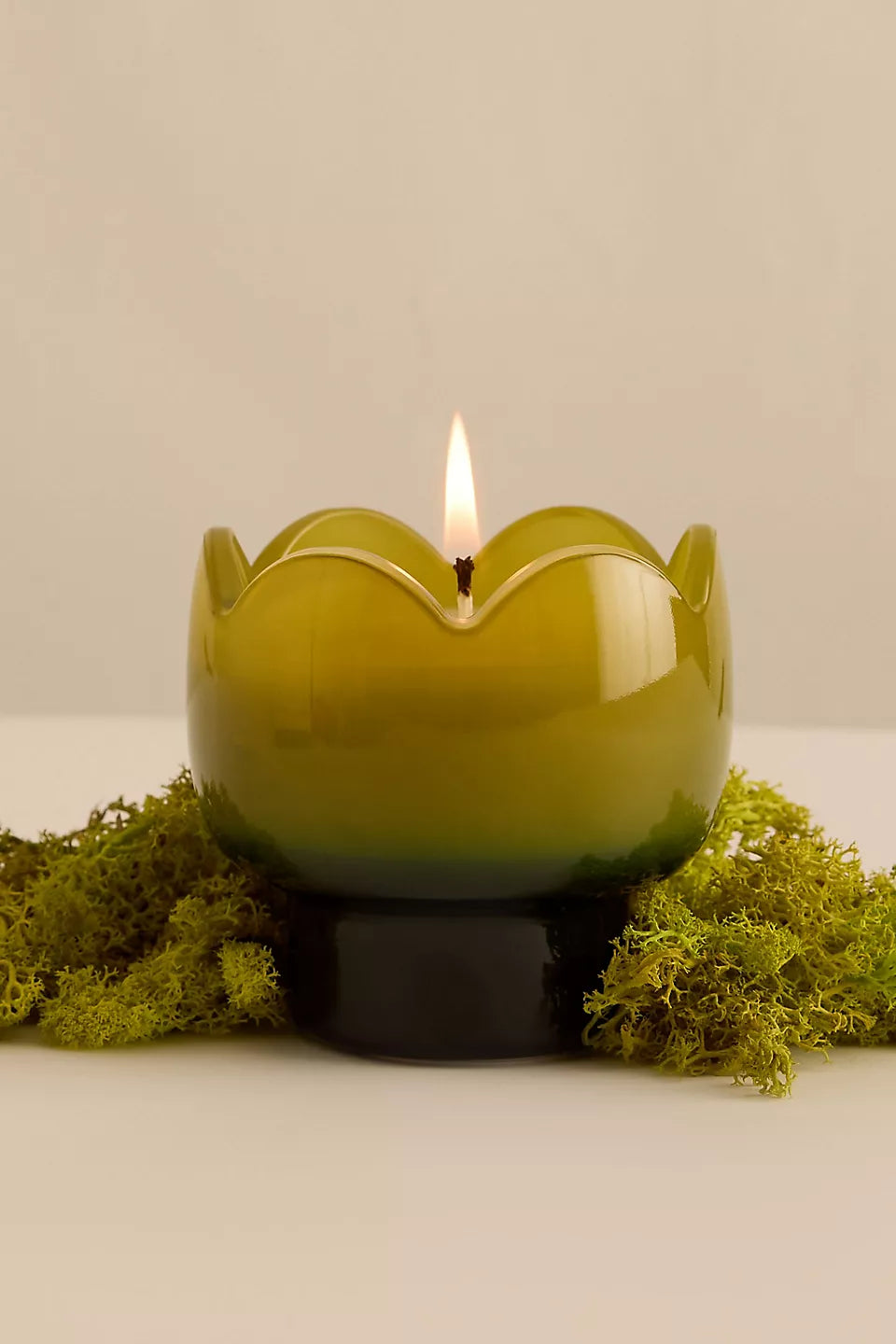Paddywax Verbena & Lemongrass Tulip Candle
