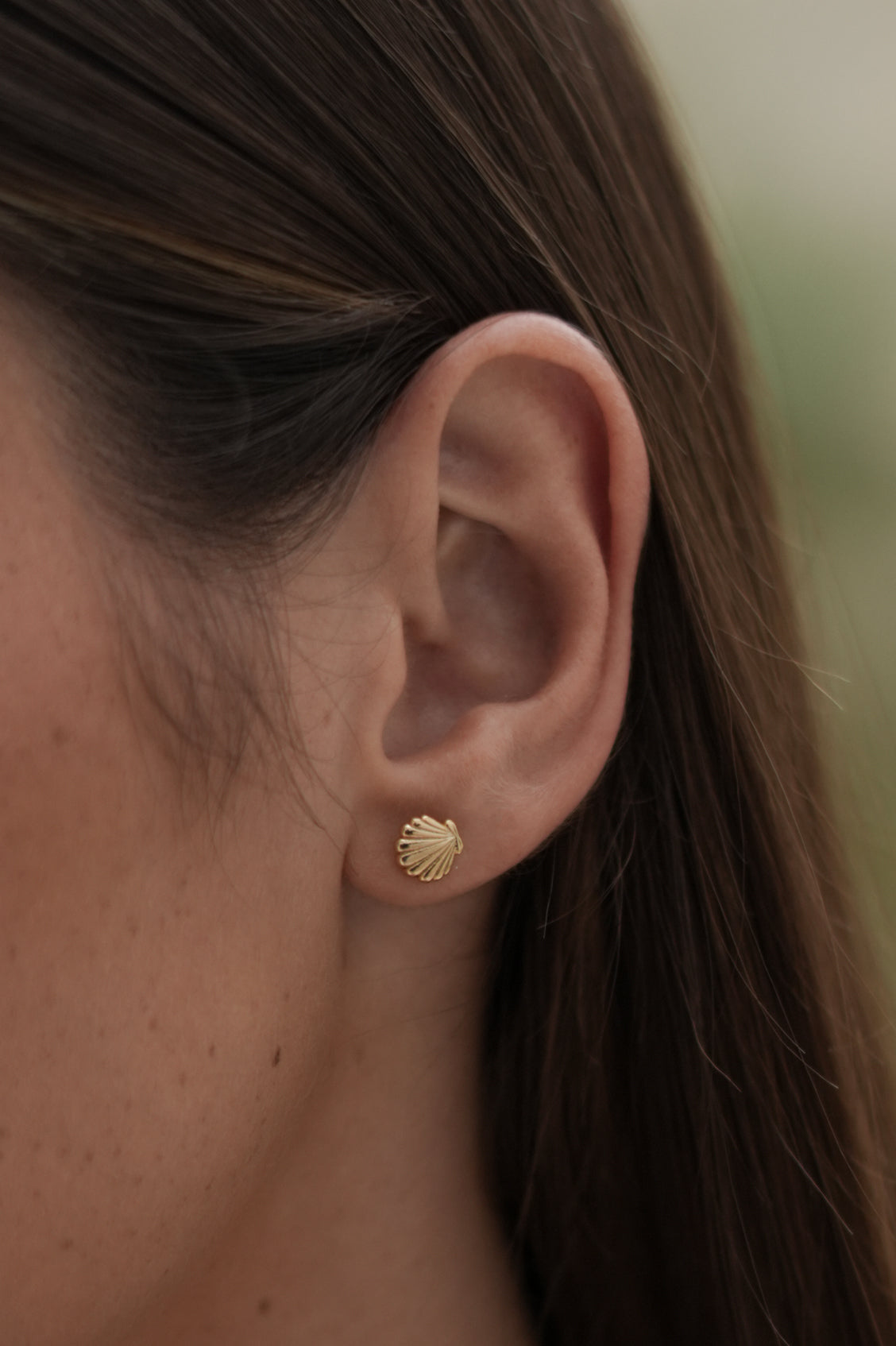 Estella Bartlett Seashell Stud Earrings